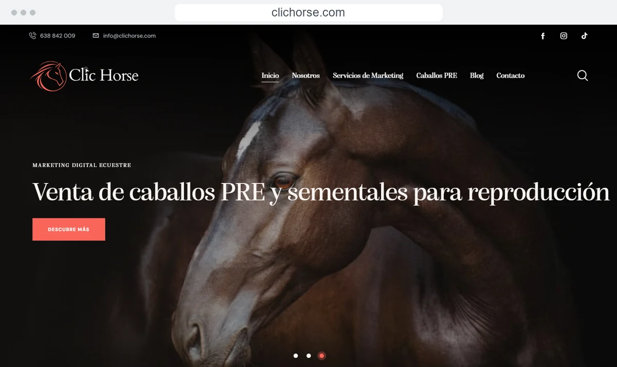 Captura de la web de Clic Horse, especializada en caballos PRE.